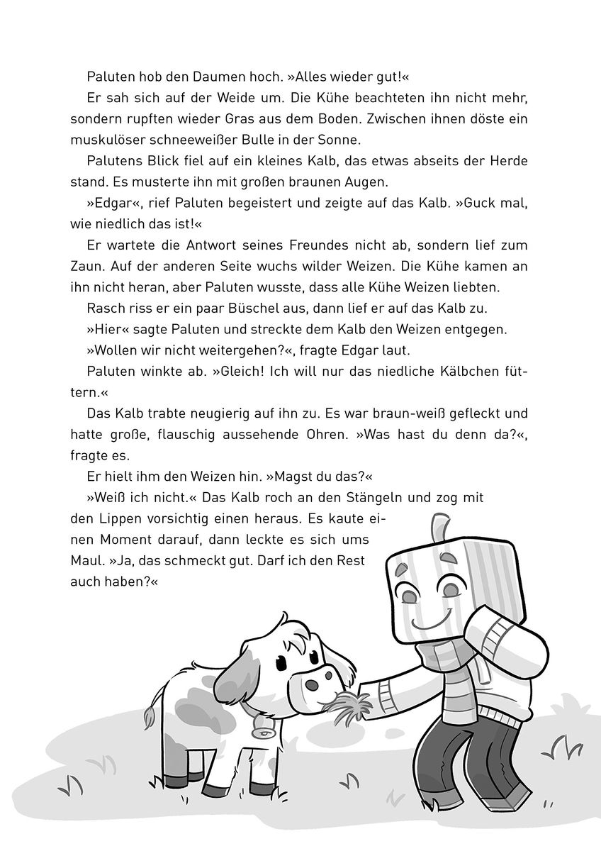 Donnerwetter am Mount Schmeverest - Buch
