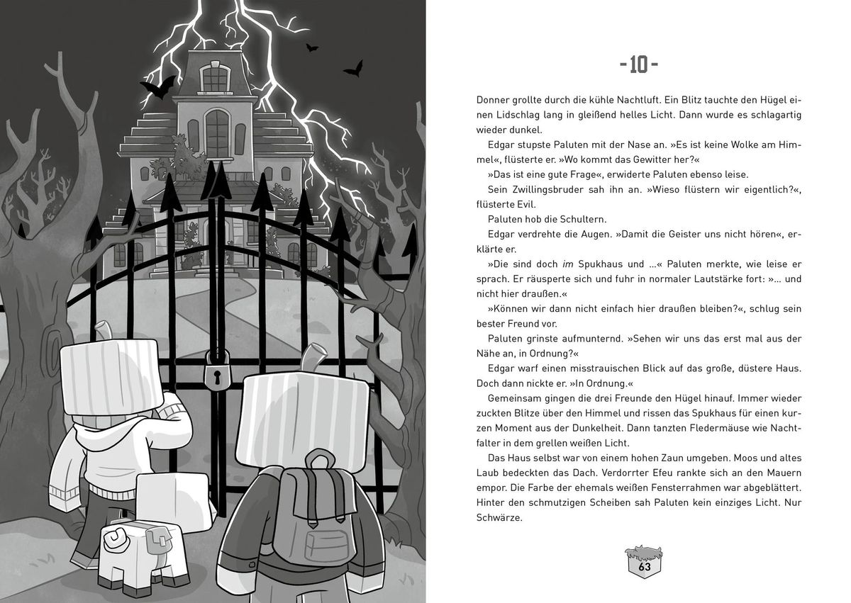 Der Schrecken der Schmarpaten - Buch
