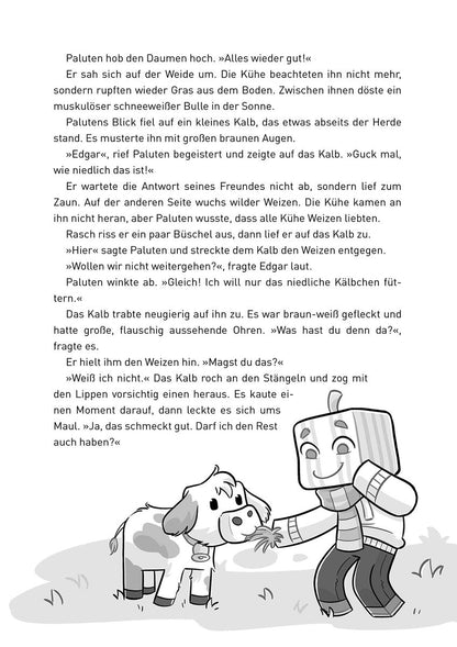 Donnerwetter am Mount Schmeverest - Buch